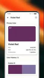 WS Colors 5
