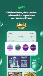 Yummy Delivery 4