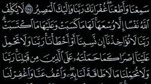 القرآن الكريم - مصحف المدينة screenshot