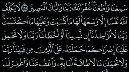 القرآن الكريم - مصحف المدينة 4