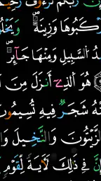 مصحف التجويد الملون برواية ورش 4