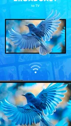 SPL - Smarter Player Lite 3