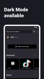 Navegador de Internet - ZEUS 2