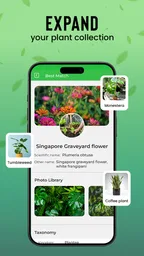 Plantas Identificador cuidado 3