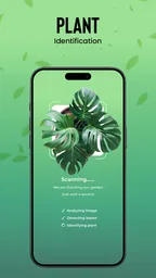 Plantas Identificador cuidado 5