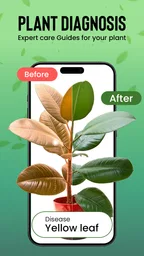 Plantas Identificador cuidado 6
