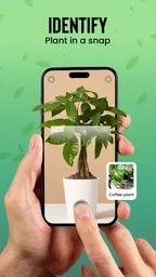 Plantas Identificador cuidado 7