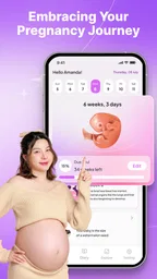 Pregnancy Track - Bump Journey 1