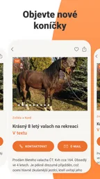 Bazoš: online bazar 1