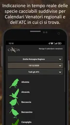 XCaccia 4