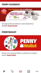 PENNY Italia 2