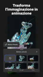 Adobe Firefly: generatore IA 5