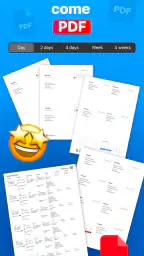 Agenda - Organizzatore, Diario 8