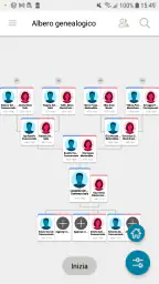 Albero di FamilySearch 8
