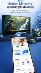 All Cast TV & Screen Mirroring 4