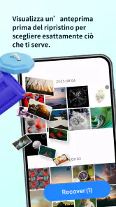 All File Recovery screenshot