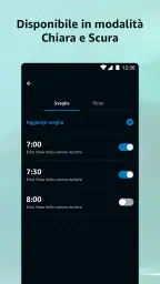 Amazon Alexa 8