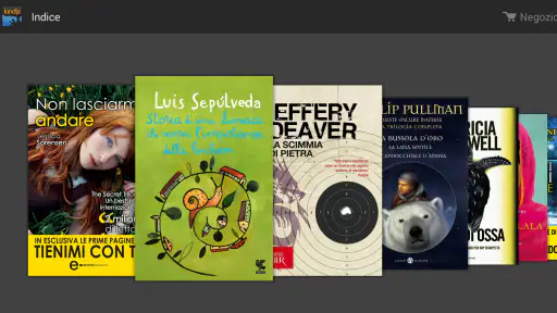 Amazon Kindle 5