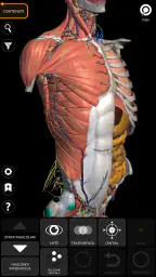 Anatomia - Atlante 3D 1