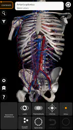 Anatomia - Atlante 3D 2