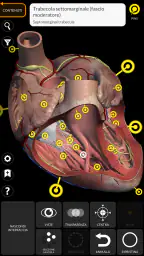 Anatomia - Atlante 3D 3