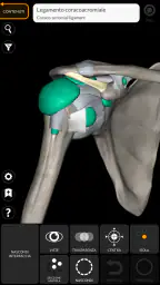 Anatomia - Atlante 3D 4