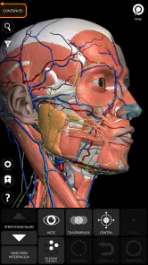 Anatomia - Atlante 3D screenshot