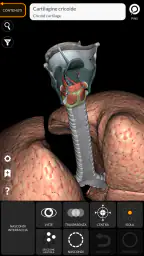 Anatomia - Atlante 3D 8
