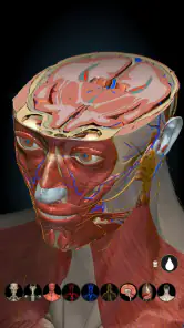 Anatomy Learning - Anatomía 3D screenshot