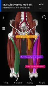 Anatomyka - Anatomia 3D screenshot