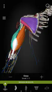 Anatomyka - Anatomia 3D screenshot