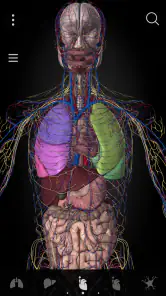 Anatomyka - Anatomia 3D screenshot