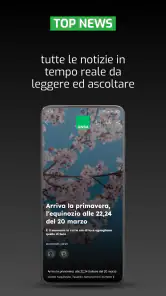 ANSA screenshot