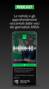 ANSA screenshot