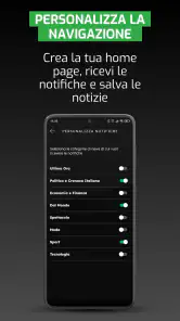 ANSA screenshot