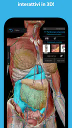 Atlante di anatomia umana 2026 1