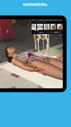 Atlante di anatomia umana 2026 5