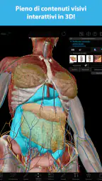 Atlante di anatomia umana 2026 6