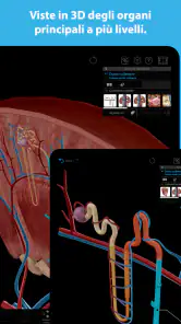 Atlante di anatomia umana 2026 screenshot
