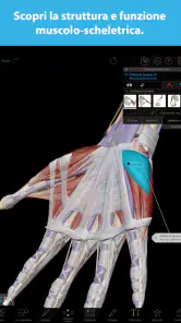 Atlante di anatomia umana 2026 screenshot