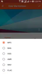 Audio Converter (MP3 AAC OPUS) 2