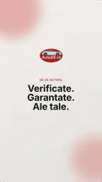AutoDE 8