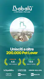 Babalù | Pet Owner->Pet Lover 1
