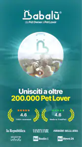 Babalù | Pet Owner->Pet Lover screenshot