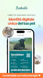 Babalù | Pet Owner->Pet Lover 2