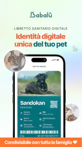 Babalù | Pet Owner->Pet Lover screenshot