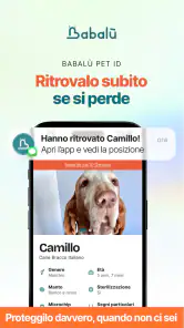 Babalù | Pet Owner->Pet Lover screenshot