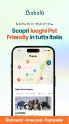 Babalù | Pet Owner->Pet Lover 7