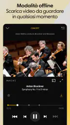 Berliner Philharmoniker 8