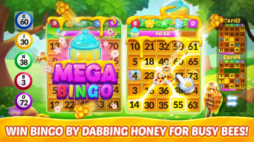 Bingo Aloha-Bingo Live at home 3